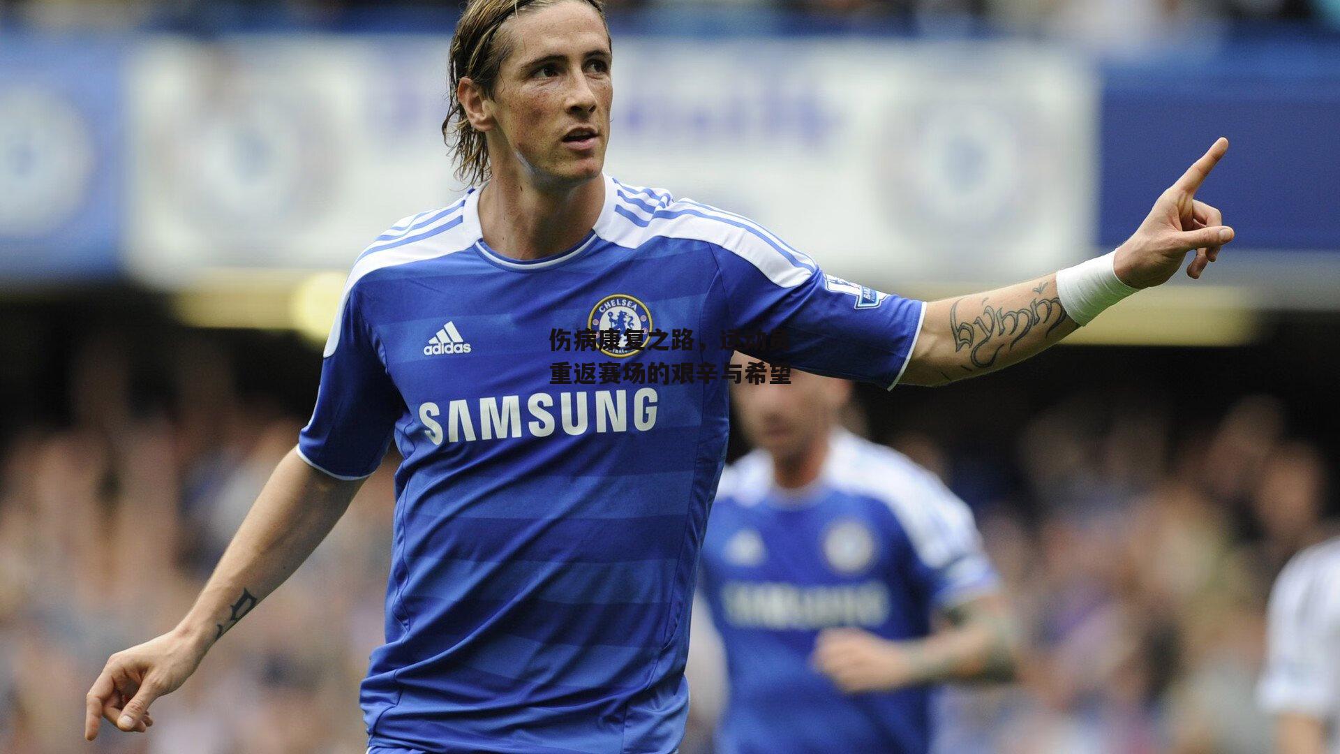 伤病康复之路,运动员重返赛场的艰辛与希望